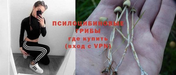 apvp Алзамай