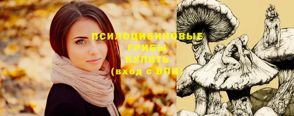 apvp Алзамай