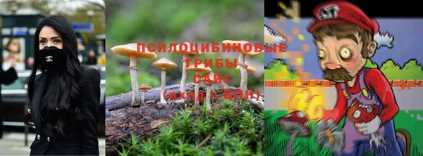 ALPHA-PVP Алексин